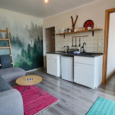 Appartamento Apartament Bazatatry Sloneczny II Zakopane Esterno foto