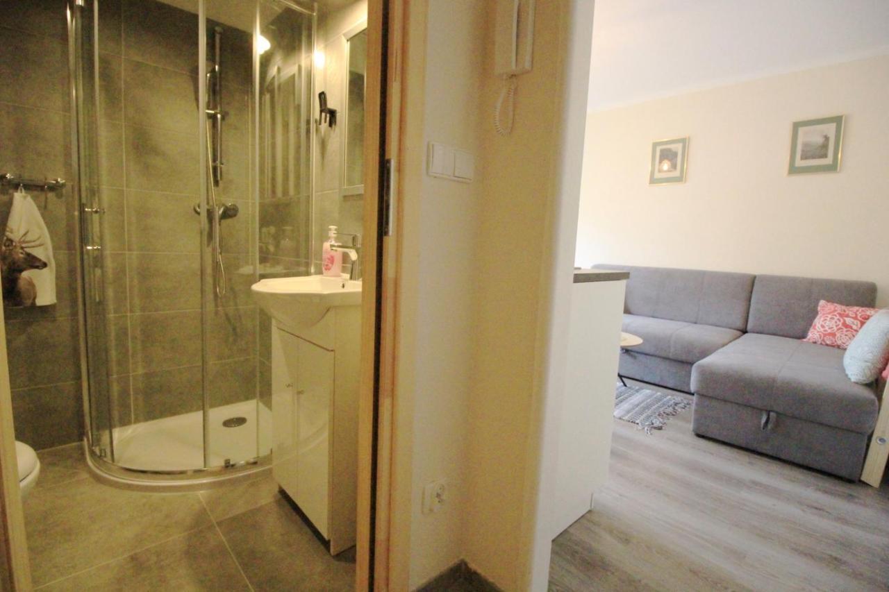 Appartamento Apartament Bazatatry Sloneczny II Zakopane Esterno foto
