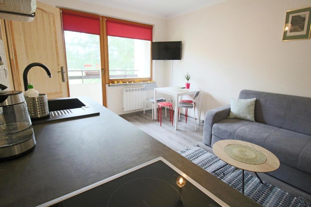 Appartamento Apartament Bazatatry Sloneczny II Zakopane Esterno foto